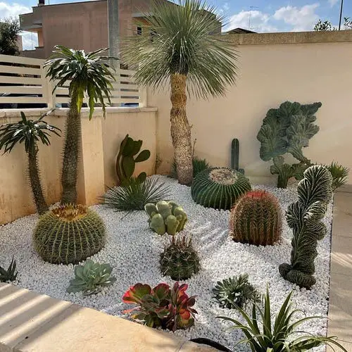 Desert Landscaping Ideas Pictures 12