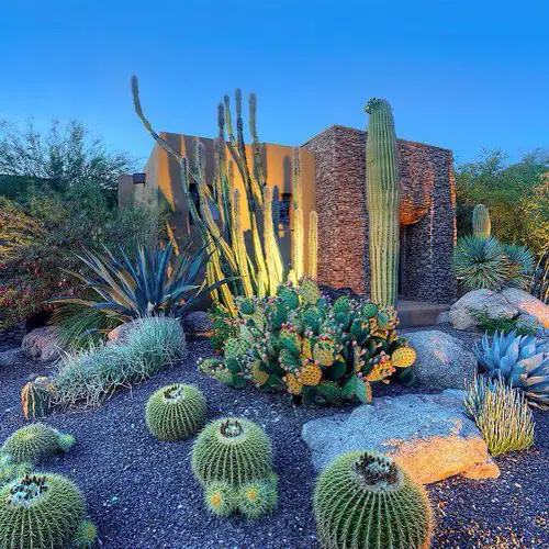 Inexpensive Desert Landscaping Ideas Pictures 17