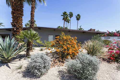 Desert Landscaping Ideas Pictures 20