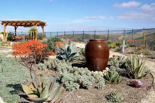 Inexpensive Desert Landscaping Ideas Pictures 21