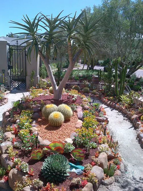 Desert Landscaping Ideas Pictures 22