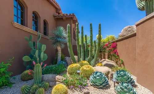 Inexpensive Desert Landscaping Ideas Pictures 33