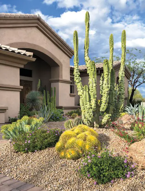 Inexpensive Desert Landscaping Ideas Pictures 27