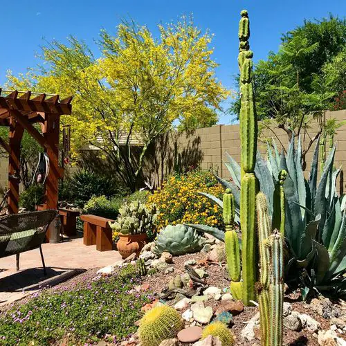 Inexpensive Desert Landscaping Ideas Pictures 1