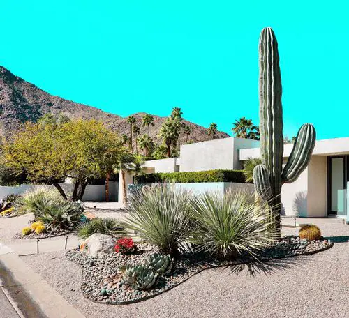 Inexpensive Desert Landscaping Ideas Pictures 7