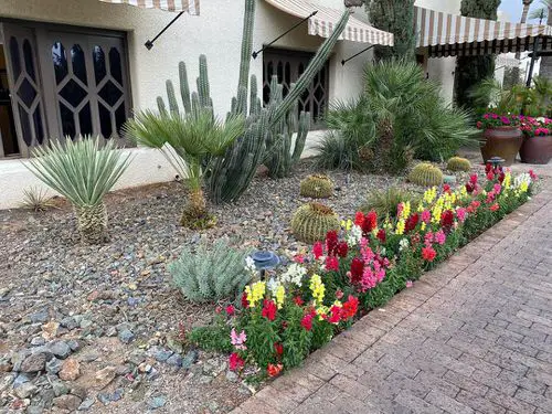 Desert Landscaping Ideas Pictures 8