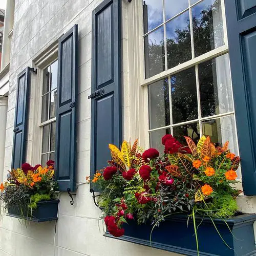Ways to Increase Curb Appeal Using Plants 2