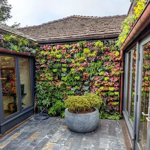 Increase Curb Appeal Using Plants idea 6
