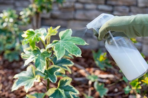use of soap in garden and home 10