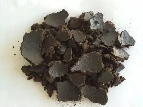 Put these 10 Things in Your Rose Planting Hole for More Flowers 10