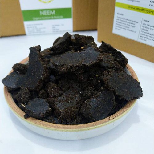 Best Ways to Rejuvenate Old Potting Soil  3