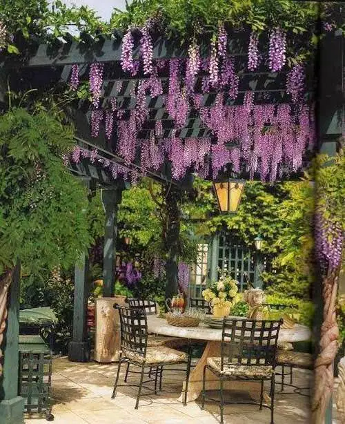  Pergolas in the Gardens image 13