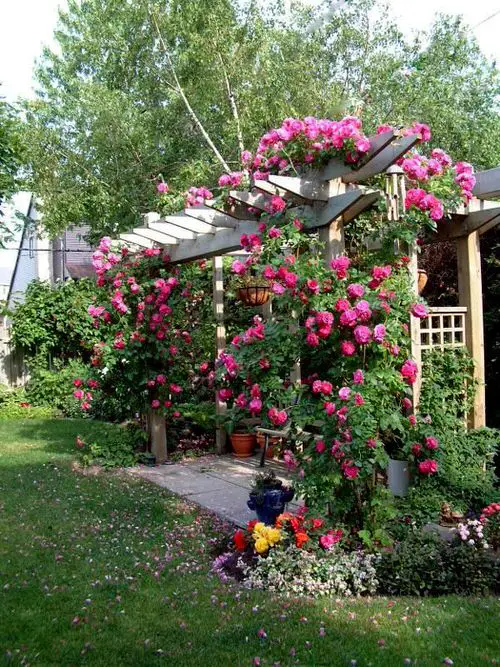 Garden Pergola Ideas 14