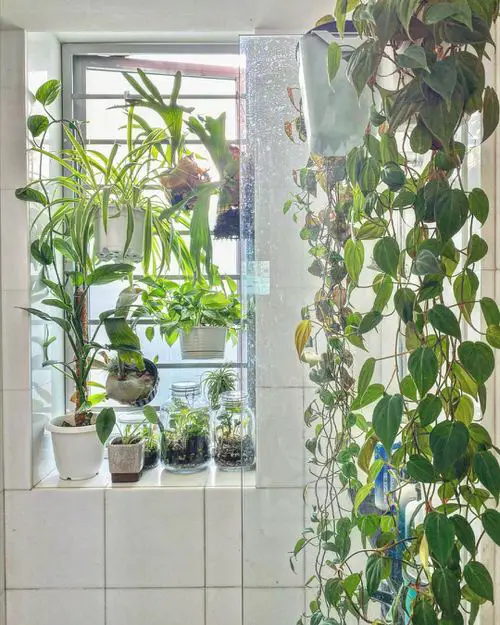 Plants in a Luxury Bathroom 5