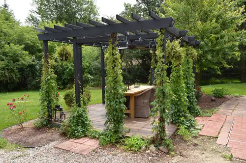 Garden Pergola Ideas 24