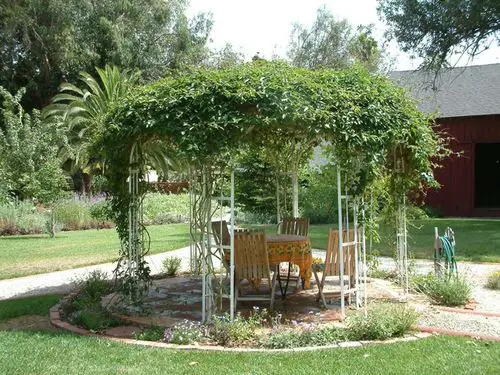 Pergolas in the Gardens image 17