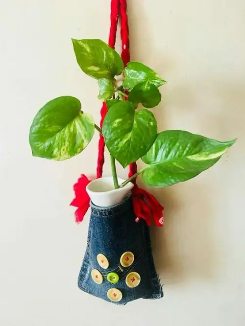 How to Decorate with Pothos 30