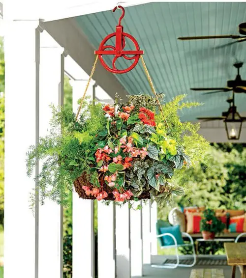 Hanging Basket Ideas for Garden 4