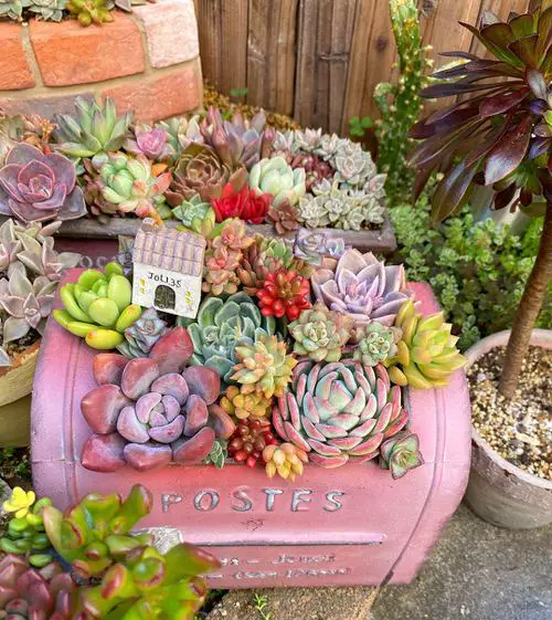 Increase Curb Appeal Using Plants idea 10