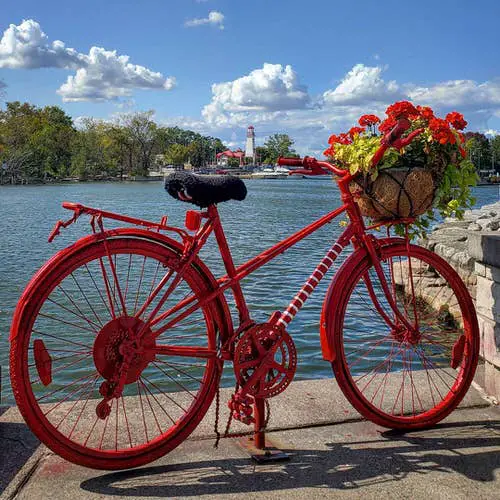 Bicycle Planter Ideas 6