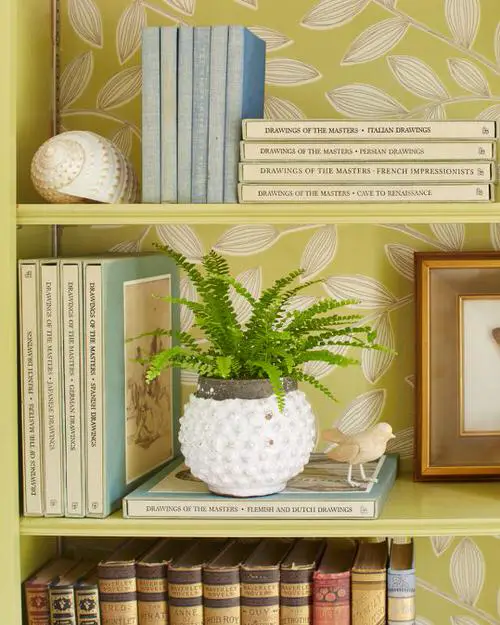 Beautiful Indoor Fern Display Pictures for Every Home 21