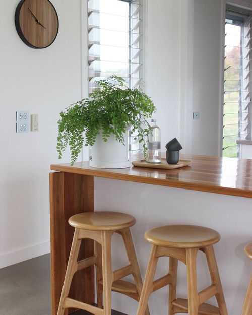 Indoor Fern Display Pictures 13