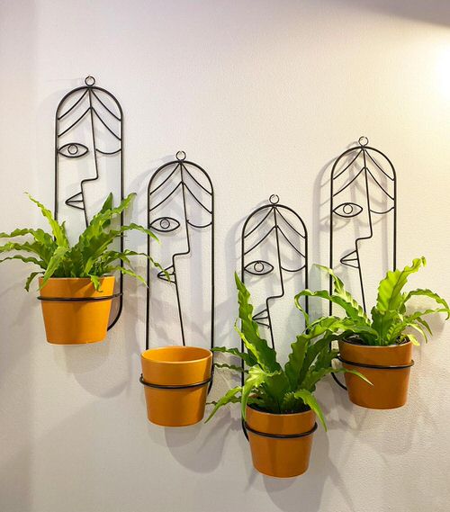 Beautiful Indoor Fern Display Pictures for Every Home 31