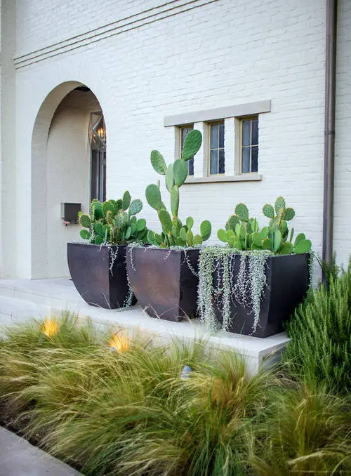 Drought Tolerant Garden Design 8