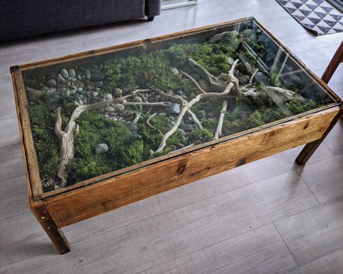Amazing terrarium table ideas 8