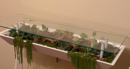 Amazing terrarium table ideas 6