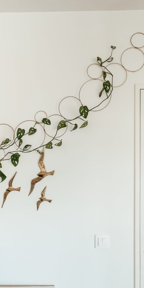 Stylish DIY Ladder and Trellis Ideas 3