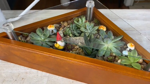 Amazing terrarium table ideas 5