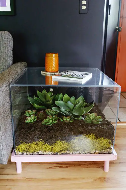 Amazing terrarium table ideas 2