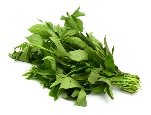 Growing Asian Greens 10