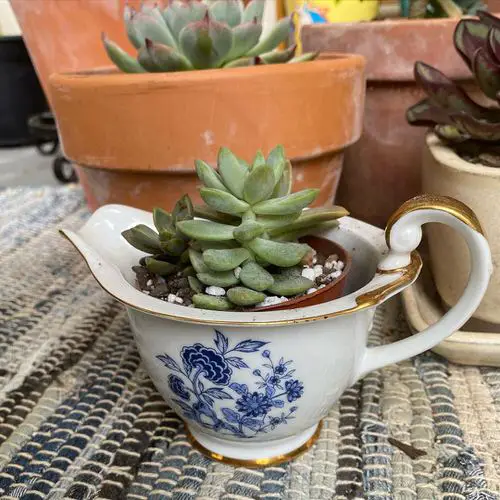 Pots from Old Items 30