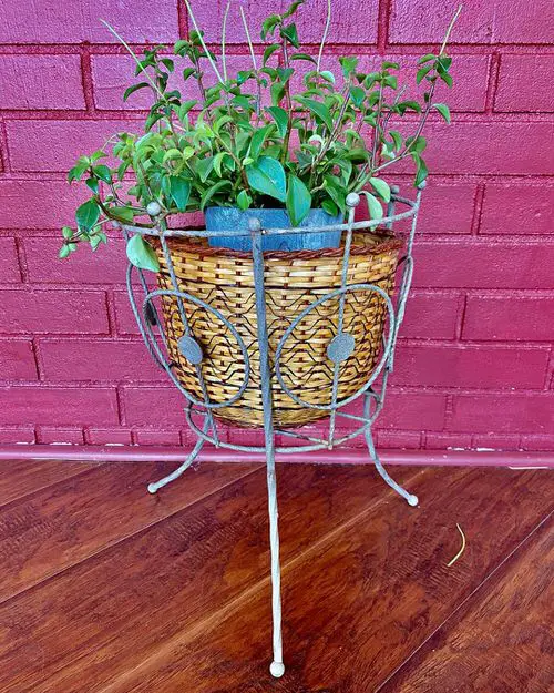 DIY Vintage Planter Ideas 31