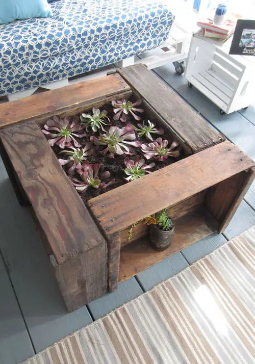 Amazing terrarium table ideas 10