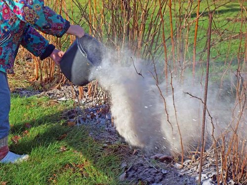 How to Get Rid of Stink Bugs from Home and Garden 14
