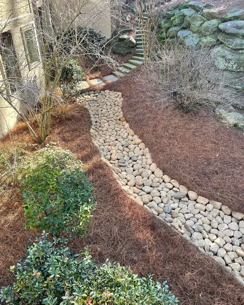 Front Yard Desert Landscaping Ideas 3