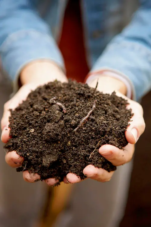 Loosen up Soil