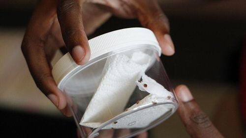 How to Get Rid of Stink Bugs from Home and Garden 3