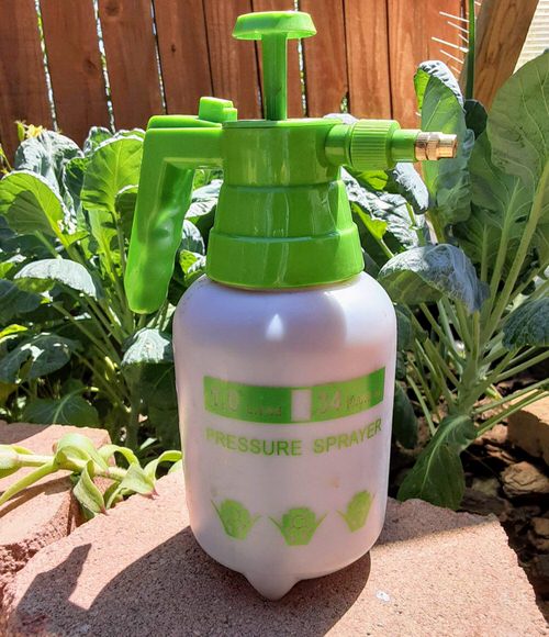 How to Get Rid of Stink Bugs from Home and Garden 5