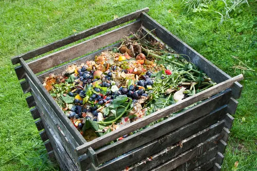 How to earn from garden?  17