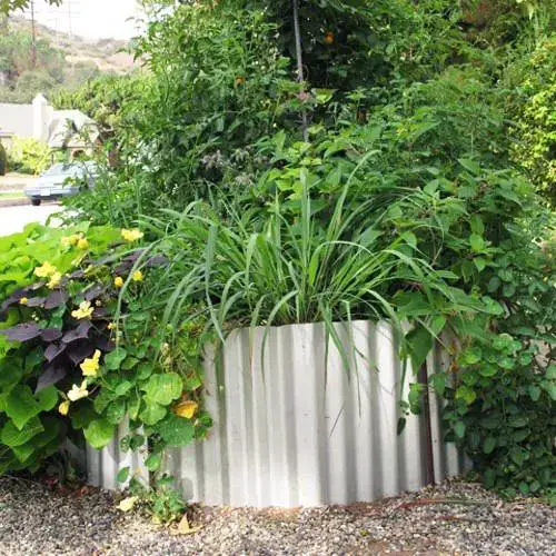  Budget Vegetable Garden idea 6