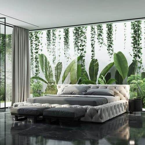 Biophilic Room with a Living Wall