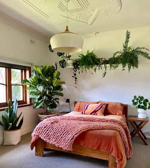 Huge Fiddle Leaf and Ferns on a Floating Shelf by the Bed