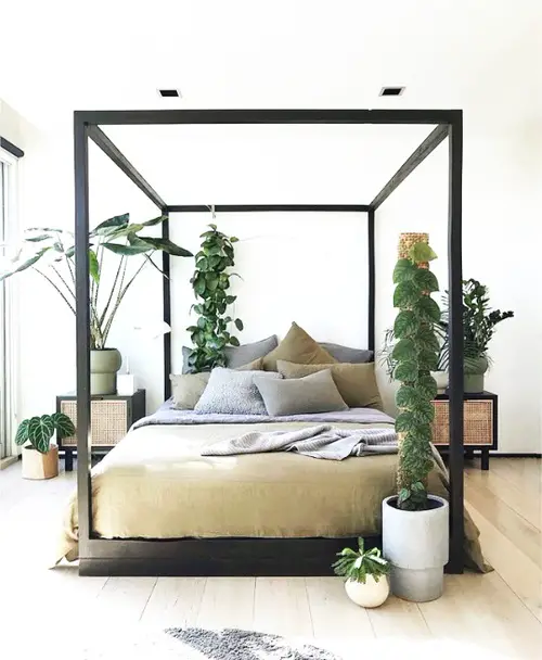 Tall Potted Plants Around the Bed