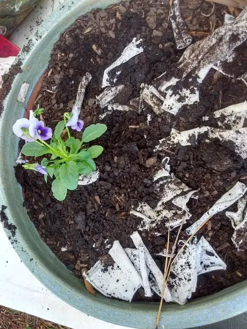 Clothes Hacks for the Garden 2