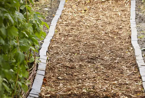  DIY Garden Path Ideas With Tutorials #29