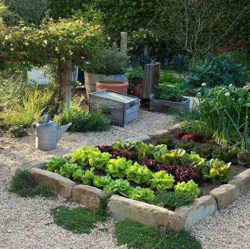 Beautiful Landscaping Without Grass Ideas 13